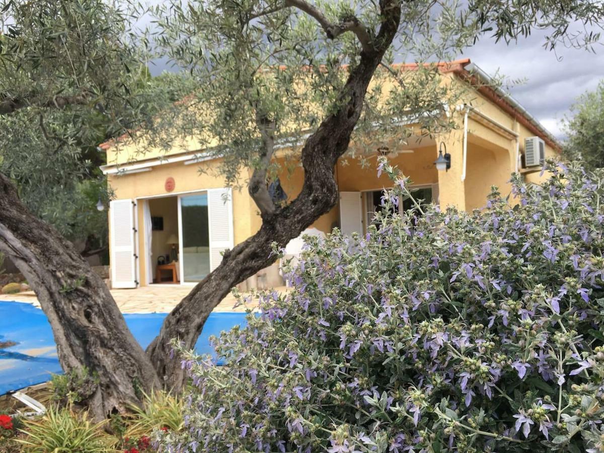 Holiday home La Inopia L'Ampolla